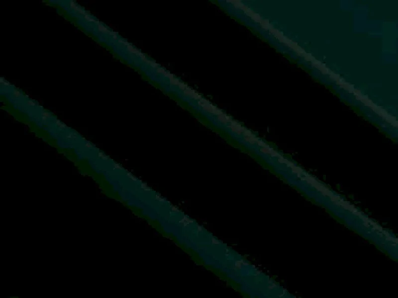 Dark Green Plain Cotton Cambric Fabric